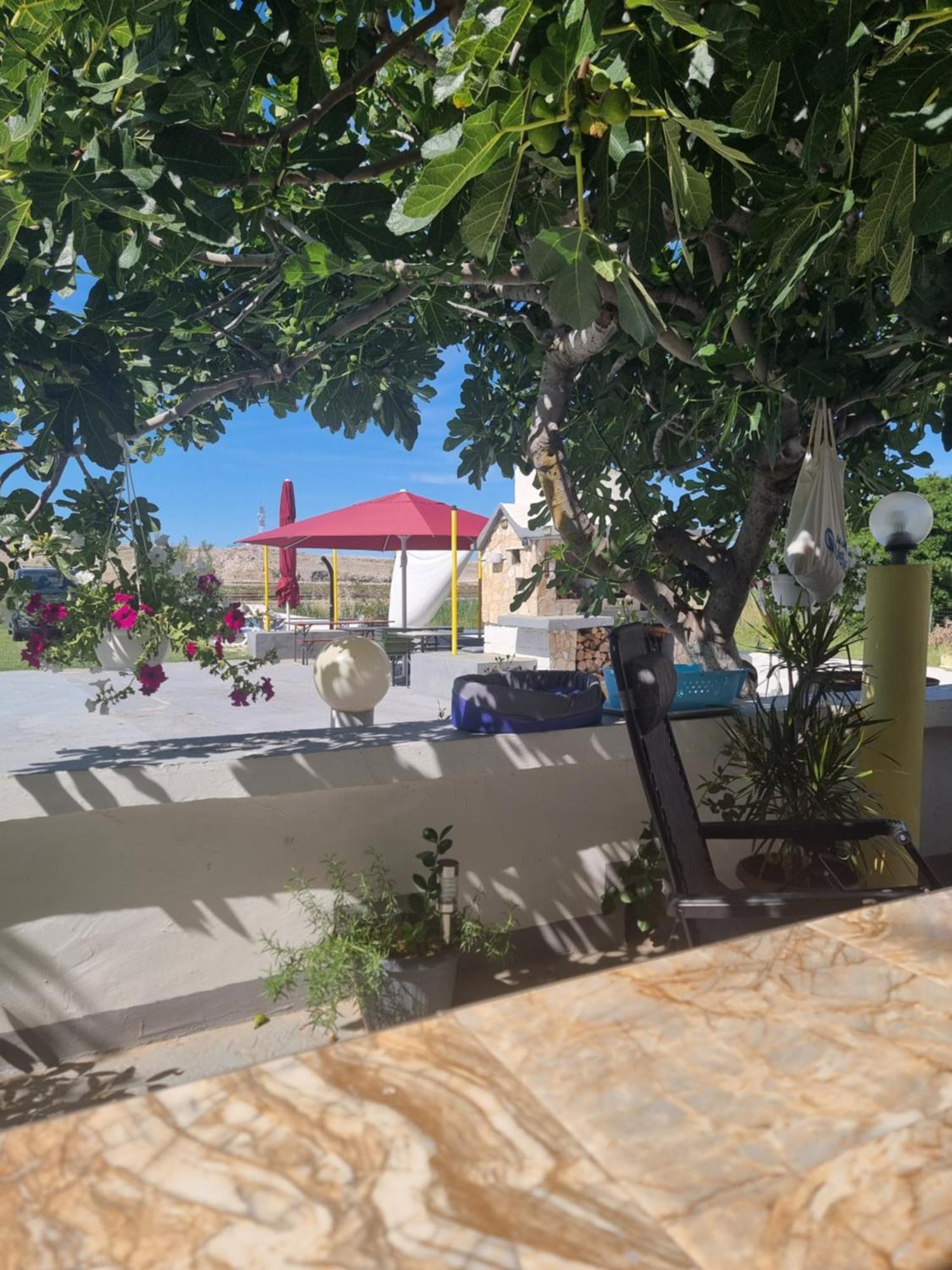 Apartmani Alen Dinjiška Εξωτερικό φωτογραφία